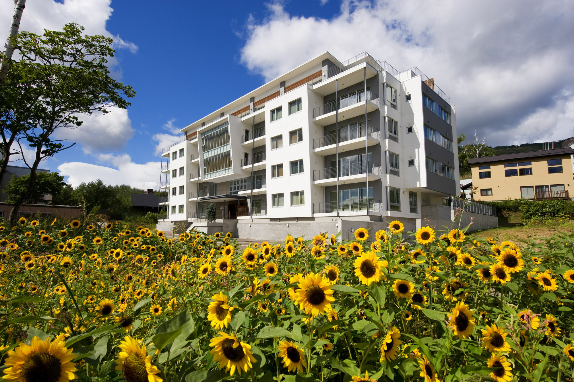 Niseko Central - Youtei Tracks Kutchan Exterior photo